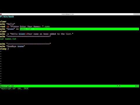 Writing your First Shell Script for Linux Tutorial