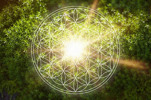 Activating Light Codes ~ The Genetic Seeds of Your Soul’s Cosmic Garden