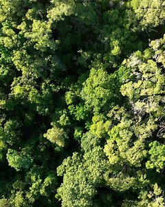 1.4K reactions · 71 shares | A week ago we were lucky enough to have...