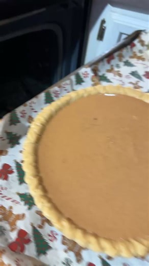 My son dropped my homemade pumpkin pie 🤣🤣 #thanksgiving #thankgivingdinner #pie #pumpkinseason #fyp @H3cT0R 🧪
