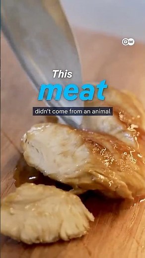 Is lab-grown meat the future of food? | DW Documentary