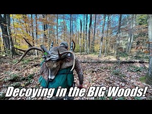 Decoying in the BIG Woods! - Wide Mountain Buck Goes Down! | PA Bowhunting 2021