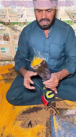 Weight and Wrap: The Final Measure in Packing Corn Vermicelli