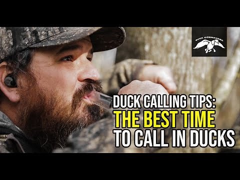 The Best Time to Call In Ducks | Duck Calling Tips
