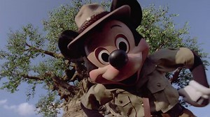 40K views · 1.3K reactions | It’s a great day for exploring everything that nature has to offer and taking a wild ride in Kilimanjaro Safaris! | Walt Disney World | Facebook