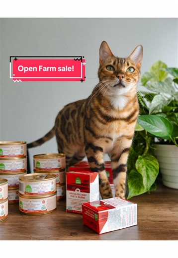 Cleo's verdict on @Open Farm Pet? Purr-fectly delicious and nutritious! 😸 Don't miss out on 30% off our favourites, plus free gifts with every purchase - link in bio! With over 4 years of trust, I can vouch for Open Farm's high-quality ingredients like grass-fed beef, pasture raised lamb and wild-caught fish which is important to me when it comes to Cleo’s diet! Plus she loves all their food ❤️ *New customers only* #openfarmpartner #asmr #catsoftiktok #catnutrition