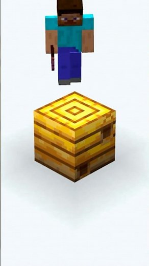 27 Seconds of Minecraft Beehive FACTS