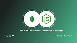 NPM Install MongoDB: How to Install MongoDB using Node.Js
