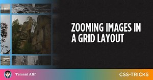 Zooming Images in a Grid Layout | CSS-Tricks