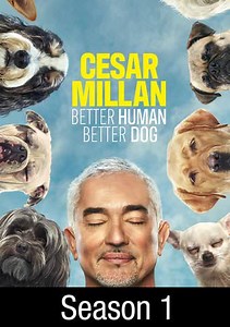 Cesar Millan: Better Human Better Dog: Pack Attack