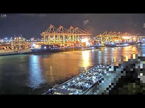 Live stream | Amazonehaven west