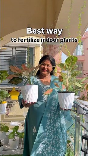 How to grow indoor plants easily without any fertiliser| best indoor plants for home #trendingshorts