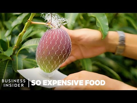 Why Miyazaki Mangoes Are So Expensive | So Expensive Food | Business Insider