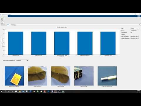 Transfer Learning using the MATLAB Deep Learning toolbox