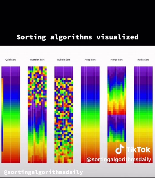 SortingAlgorithms on TikTok