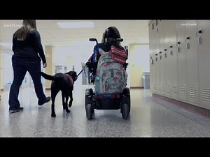 Can Do Canines helps people with disabilities with service dogs