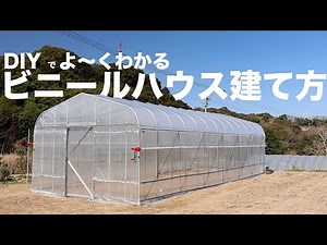 How to build a professional greenhouse from scratch at the lowest price [Home improvement stores ...