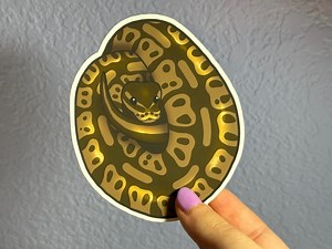 Ball Python Sticker - Etsy