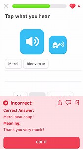 32K views | Learn a language for free with fun lessons designed to keep you motivated! | Duolingo | Facebook