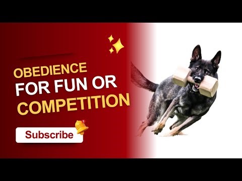 OBEDIENCE FOR FUN AND COMPETITION