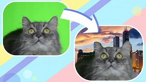 Green Screen in the Browser With HTML Canvas