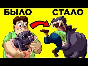 Премия Дарвина: Самые Глупые Смерти. Часть 11