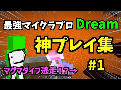 【マインクラフト】海外プロプレイヤーDreamの神プレイまとめ#1【日本語字幕】