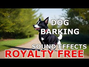Dog Barking Sound Effect Clip | Free to Use | Royalty-Free Sound Effects Collection