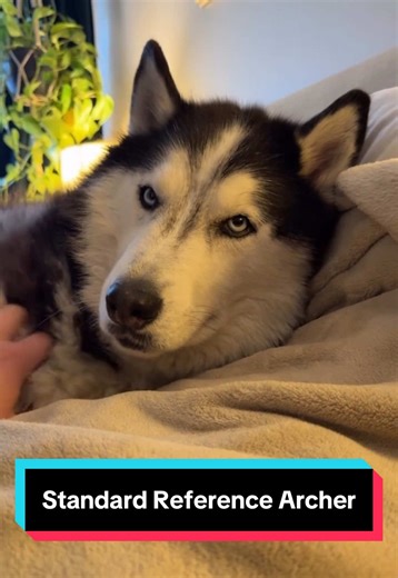 Understanding the Standard Reference Archer in Huskies