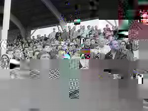 363K views · 5K reactions | “Met Pinksteren naar buiten. Eindelijk de...