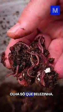 Make your own worm farm! #ManualMaker