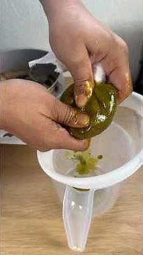 Homemade Avocado Oil in Minutes — Using a Pan!