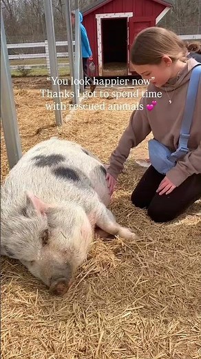 There’s something truly peaceful and healing about being surrounded by rescued animals ❤️