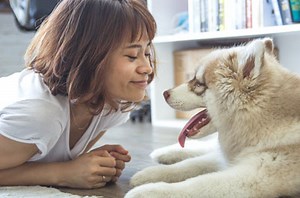 How to use FFmpeg to convert images to video — Shotstack