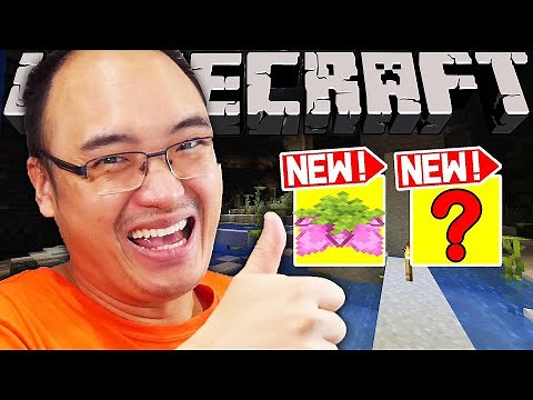 ALORS J'AI EXPLORÉ CETTE NOUVELLE CAVE SUR MINECRAFT 1.18 ET J'AI TROUVÉ...