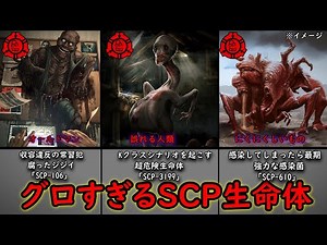 トラウマ注意!!衝撃過ぎるグロイSCPオブジェクト【SCP解説】