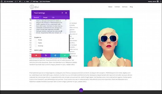 Getting Started With The Divi Builder - Elegant Themes Documentation