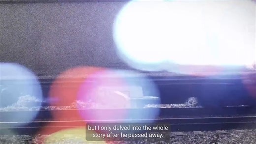 17 reactions | Dylan’s story highlights the serious consequences of trespassing near train tracks and the importance of rail safety education. Stay off! Stay away! Stay safe! #STOPTrackTragedies #SeeTracksThinkTrain #RailSafetyEducation | Operation Lifesaver Inc. | Facebook