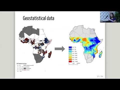 Paula Moraga: Spatial modeling and interactive visualization with the R-INLA package