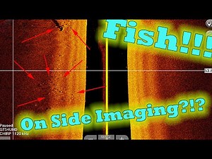 Fish On Side Imaging!!! what they look like!!