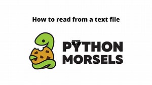 How to read from a text file
