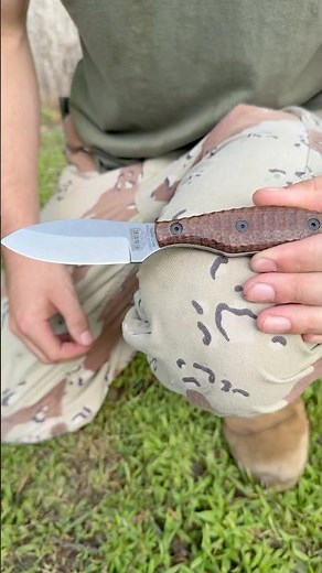 First Look: NEW ESEE BELT KNIFE #edc #bushcraft #survival