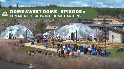 Garden Grants for Schools, Communities, and NonProfits