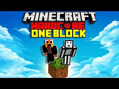 We Survived 100 days On One Block In Hardcore Minecraft | Minecraft Hardcore DUO 100 Days
