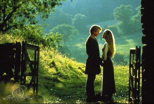 Our Favorite (And Hilarious) Princess Bride Quotes That Prove Its Cult Movie Status