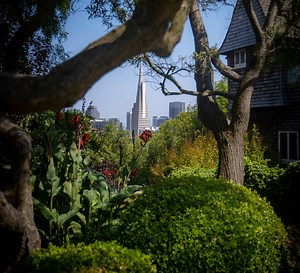 Angular v13 is now Available