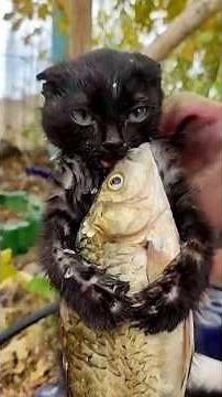 He Has Hunger That Never Ends 😂