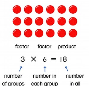 Using Arrays & Repeated Addition to Multiply
