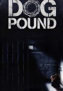 Où regarder Dog Pound en streaming complet et légal ?