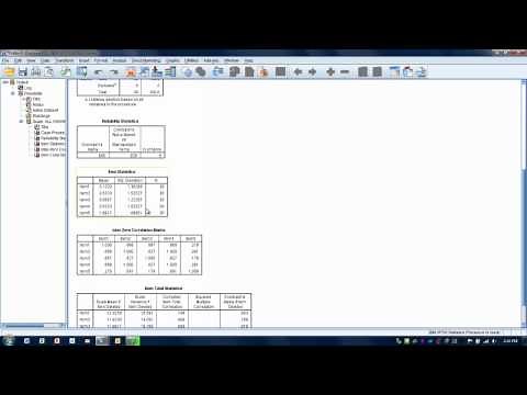 How to Use SPSS-Cronbach's Alpha Reliability Test